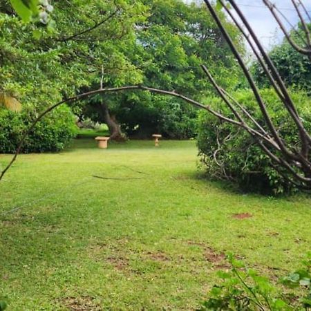Lovely 3 Bed In Mount Pleasant - 2153 Harare Exteriör bild